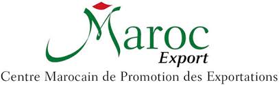 Morocco Businessmen Finished An African Trade Tour