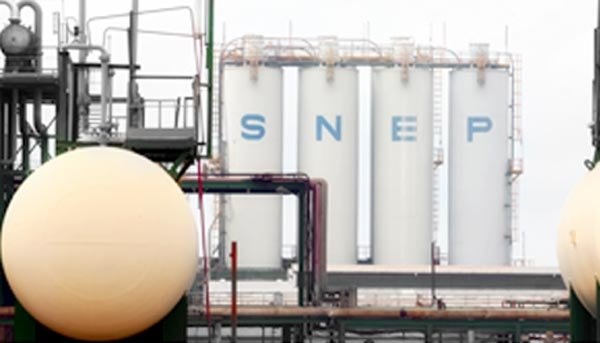 Resumption of trading  shares of  “SNEP” company starts Monday