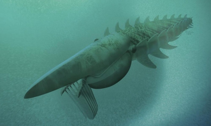 Fossilised remains of human-sized ‘lobster’ discovered in Morocco