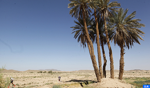 More than 1,300 participants to celebrate the 30th anniversary of Marathon des Sables
