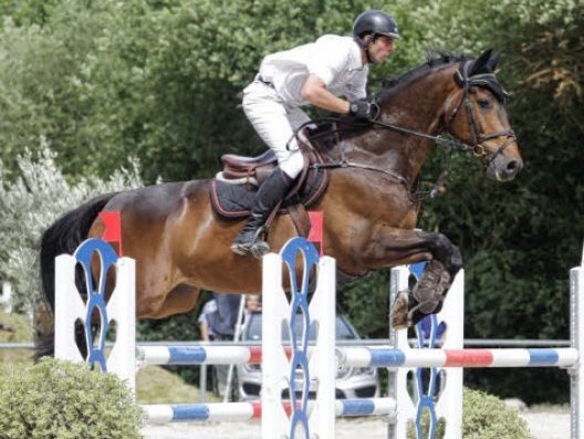 Johan Le Goff Won Jumping Grand Prix King Mohammed VI