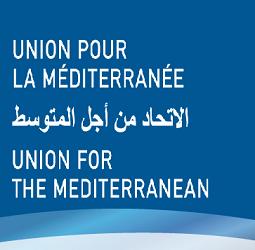 Moroccan Participation in the UPM parliament  committees