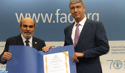Morocco Receives in Rome FAO Award for Reaching MDG Goals
