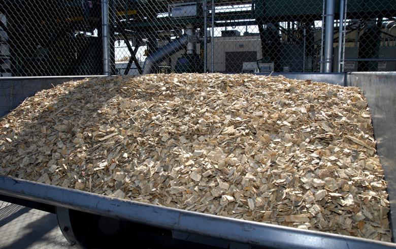 Morocco Seeks Consultant for National Strategy on Biomass