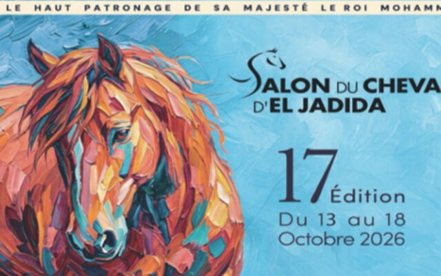 El Jadida Horse Show Highlights Moroccan Equine Breeding Success
