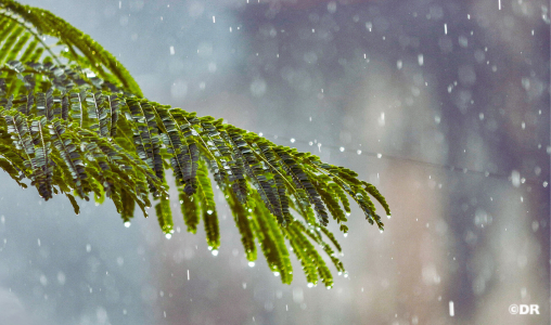 Monday Weather Forecast
