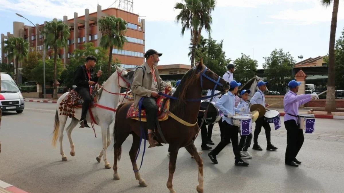 Saving the Legend of the Atlas: A 400-km Trek to Rescue Morocco’s Endangered Arab-Barb Horse