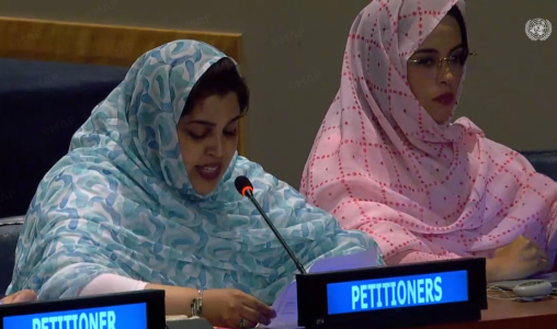 At the UN, elected representatives from the Moroccan Sahara highlight democratic growth and the dynamic development of the Southern Provinces