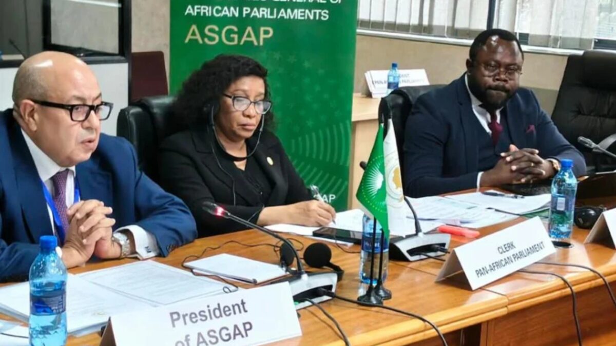 Morocco’s Lower House Chairs 7th Annual ASGAP Meeting in South Africa