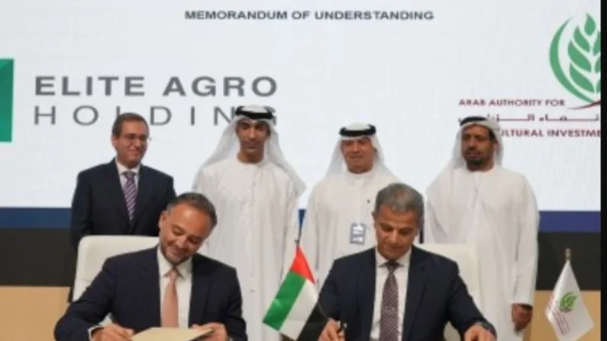 Emirati Elite Agro Group is preparing its eighth farm in Morocco
