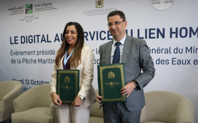 El Jadida Horse Show: Partnership between SOREC and the Digital Agriculture Hub for the Digitalization of the Equine Sector