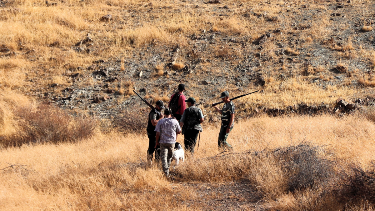 The 2026/2027 hunting season officially opens in the Marrakech-Safi region