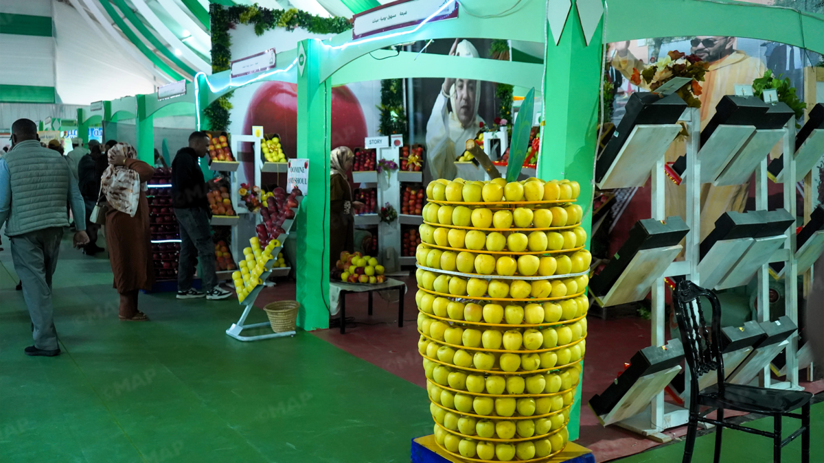 The 6th National Apple Fair Opens in Midelt