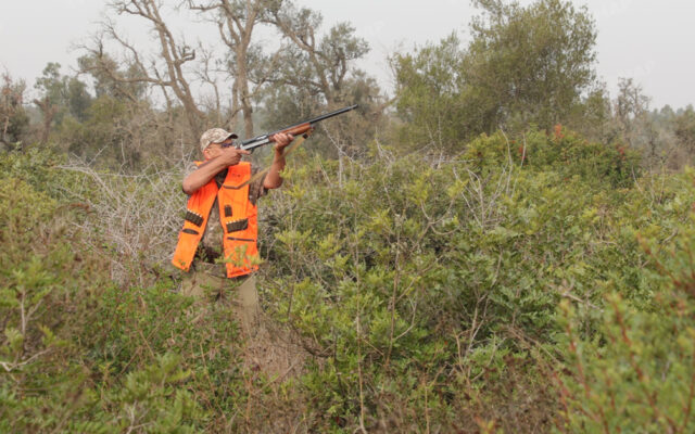 Benslimane Province: Launch of the 2026-2027 Hunting Season in Casablanca-Settat