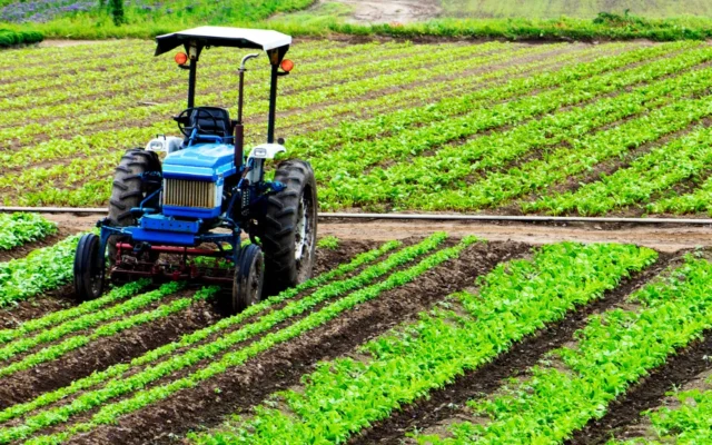 Heavy Rainfall in Northern Morocco Revives Farmers’ Hopes for the New Agricultural Season