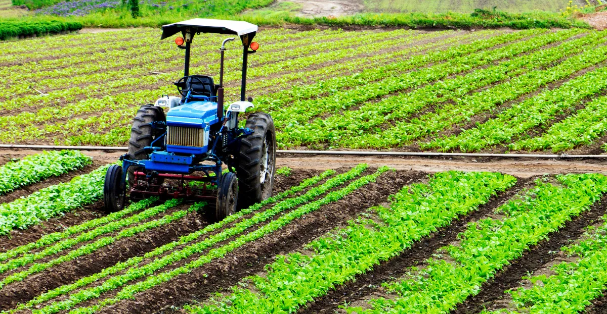 Heavy Rainfall in Northern Morocco Revives Farmers’ Hopes for the New Agricultural Season